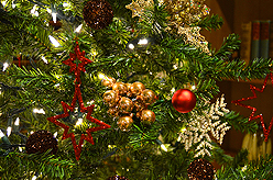 QUAIL PARK OF LYNNWOOD